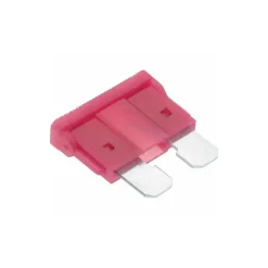 10 Amp, Automotive Fuse