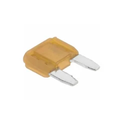 5 Amp, Automotive Fuse
