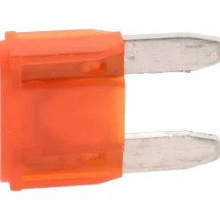 10 Amp, 32 VDC, Automotive Fuse