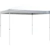 Canopies & Outdoor Shelters: Product Type: Canopy; Overall Width: 10; Overall Length: 10.0000; Center Height: 1 in, 9 ft