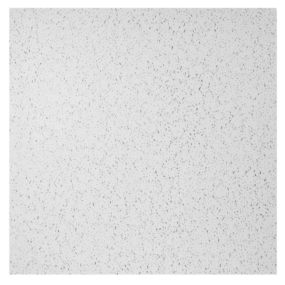 Ceiling Tile: Acoustic Vinyl
