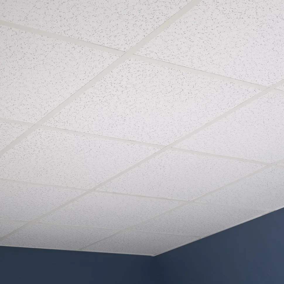 Ceiling Tile: Acoustic Vinyl