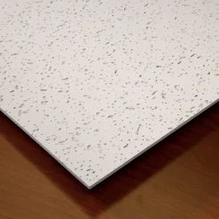 Ceiling Tile: Acoustic Vinyl