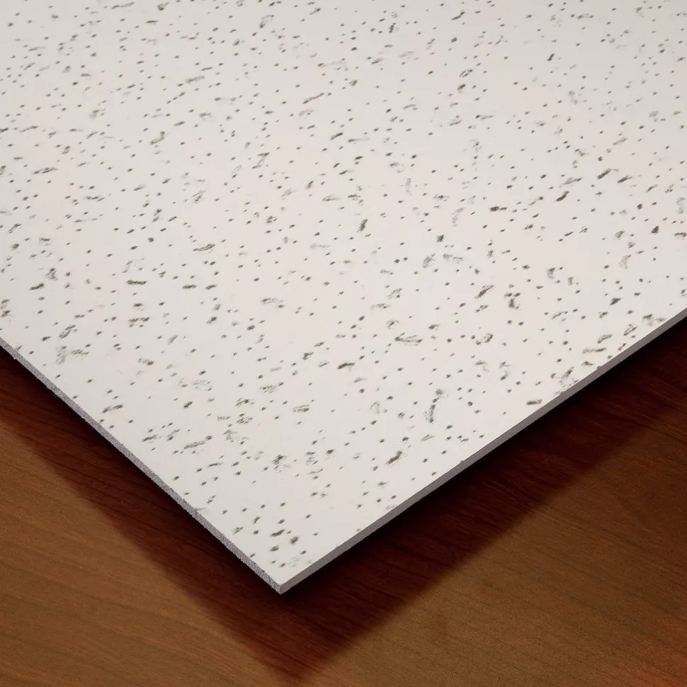 Ceiling Tile: Acoustic Vinyl