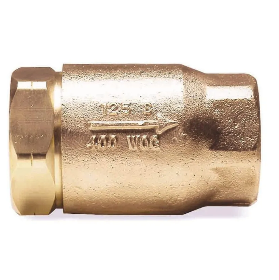 Check Valve: 3/4" Pipe