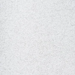 CIRRUS 24 in x 24 in x 3/4 in Beveled Tegular Edge Ceiling Tile, White