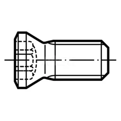 Clamp Screw for Indexables: T20IP Torx®