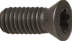 Clamp Screw for Indexables: T15IP Torx®