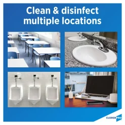 Clorox All-Purpose Cleaner: 1 gal Bottle, Disinfectant
