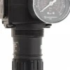 Compressed Air Regulator: 1/2" NPT, 300 Max psi, Standard