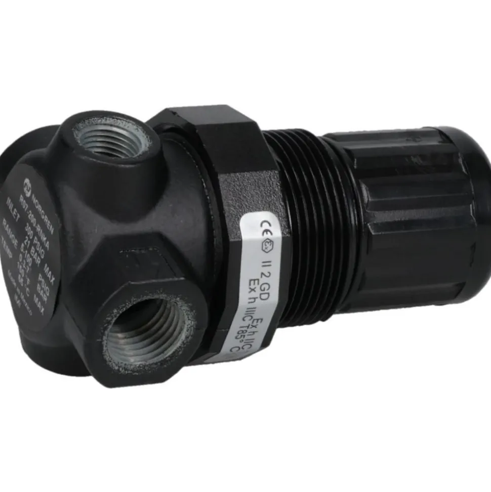 Compressed Air Regulator: 1/4" NPT, 100 Max psi
