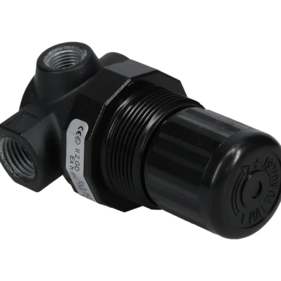 Compressed Air Regulator: 1/4" NPT, 100 Max psi