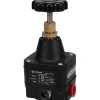 Compressed Air Regulator: 1/4" NPT, 150 Max psi, Precision Constant Bleed