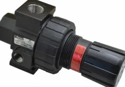 Compressed Air Regulator: 1/2" NPT, 250 Max psi, Standard