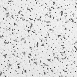 CORTEGA (Fire Guard) 24 in x 24 in Ceiling Tile, White