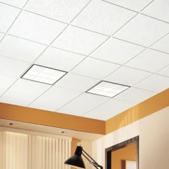 CORTEGA 24 in x 24 in Ceiling Tile, White