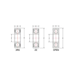 Deep Groove Ball Bearing: Double Shield