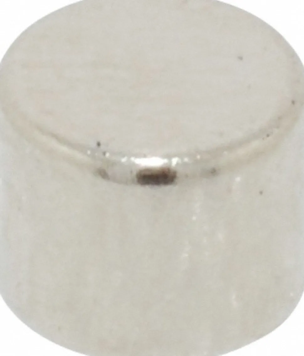 1/4" Dia x 0.2" High Neodymium Rare Earth Magnet