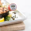 Digital Dual Input Digital Thermometer: 300 ° F