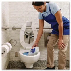 Disinfectant Toilet Bowl Cleaner, 32oz Bottle, 12/Carton