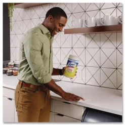 Disinfecting Wipes, 1-Ply, 7