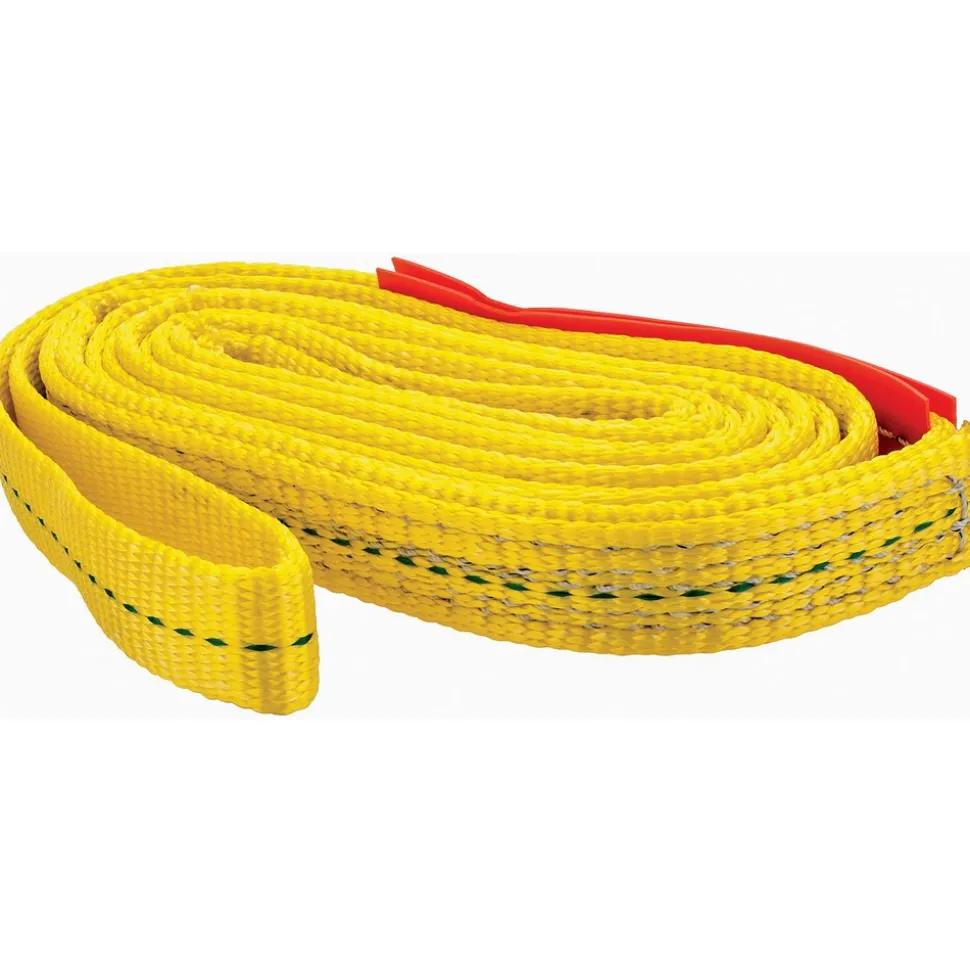 Endless, Type 5 Web Sling: 6' Long, 1" Wide, 3200 lb Vertical Capacity, Polyester