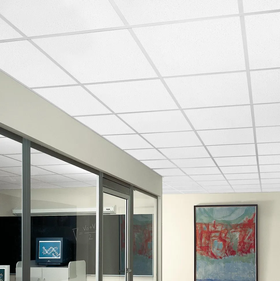 FINE FISSURED 24 in x 24 in Angled Tegular Edge Ceiling Tile, White