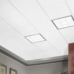 FISSURED 24 in x 24 in Ceiling Tile, White