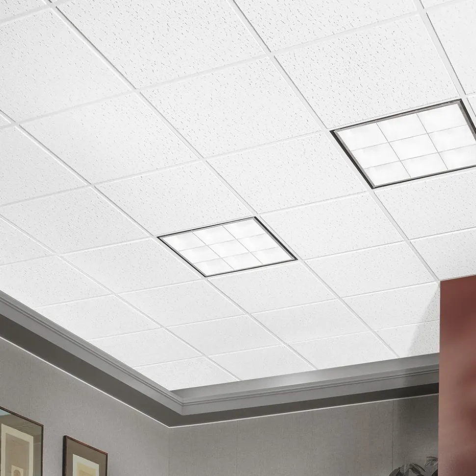 FISSURED 24 in x 24 in Ceiling Tile, White