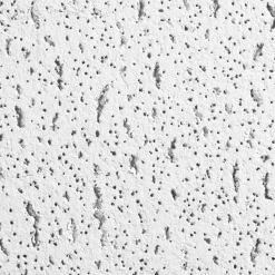 FISSURED 24 in x 24 in Ceiling Tile, White