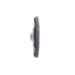 Flap Disc: 4-1/2