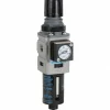 FRL Combination Unit: 1/4 NPT, Miniature, 1 Pc Filter/Regulator with Pressure Gauge