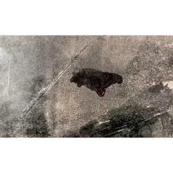 750°F Temp Indicating Liquid