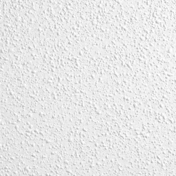 GEORGIAN - Unperforated 24 in x 24 in Ceiling Tile, White