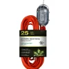 Hand Held Electric Portable Incandescent Light