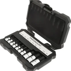 Hex Bit Socket Set: 3/8 & 1/2" Drive, 10 Pc, 1/8 to 5/8" Hex