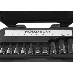 Hex Bit Socket Set: 3/8 & 1/2" Drive, 10 Pc, 4 to 17 mm Hex