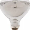 Incandescent Lamp: 250W, Medium Screw Base, BR40 Lamp