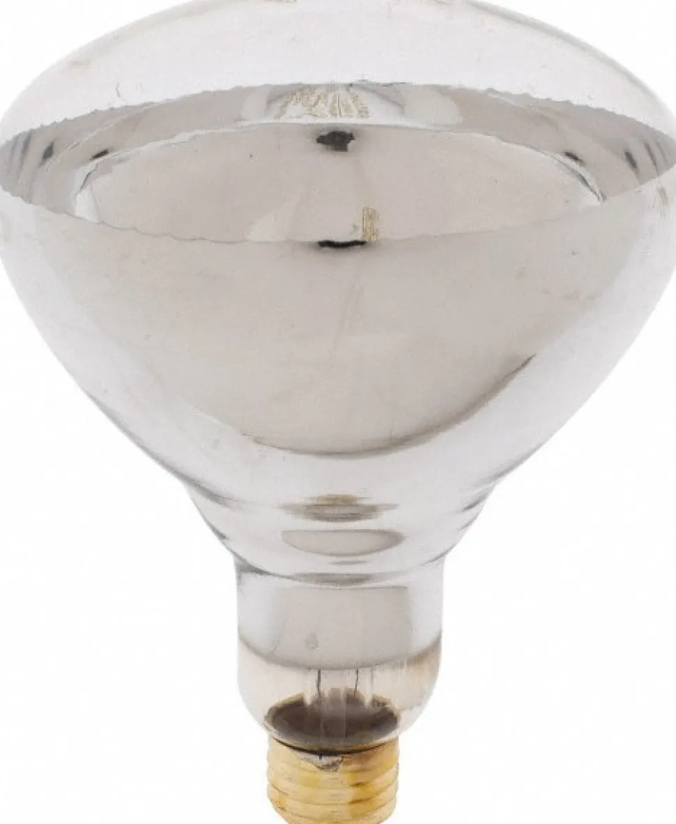 Incandescent Lamp: 250W, Medium Screw Base, BR40 Lamp
