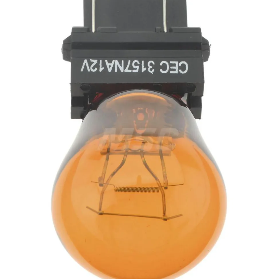 Incandescent Miniature & Specialty S8 Lamp