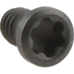 Insert Screw for Indexables: Torx®