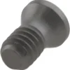 Insert Screw for Indexables: Torx®