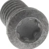 Lock Screw for Indexables: TP10 Torx® Plus, M3.5 Thread