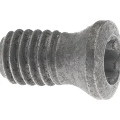 Lock Screw for Indexables: TP10 Torx® Plus, M3.5 Thread
