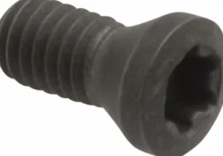 Lock Screw for Indexables: T15P Torx® Plus, M3.5 x 0.6 Thread