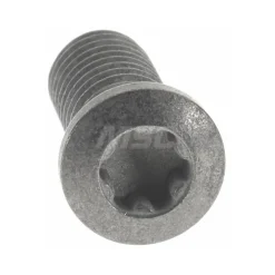 Lock Screw for Indexables: TP20 Torx® Plus, M5 Thread