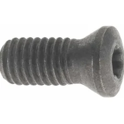 Lock Screw for Indexables: TP15 Torx® Plus, M5 Thread