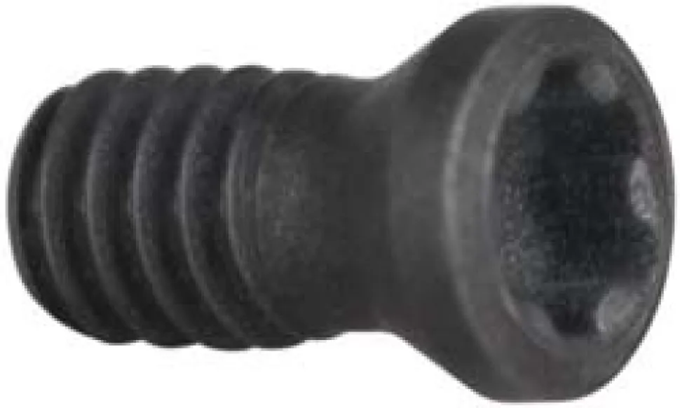 Lock Screw for Indexables: TP6 Torx® Plus, M1.8 Thread
