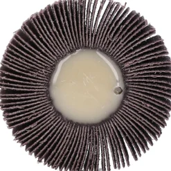 Mounted Flap Wheel: 2
