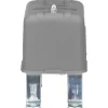 1 NEMA Rated, DPST, Float Switch Pressure and Level Switch